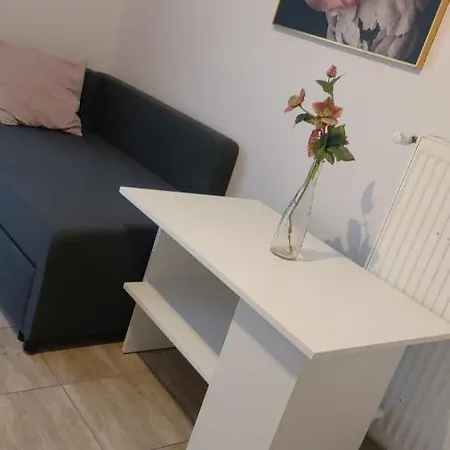 Apartamenty Grapa Szum Rzeki Parking Free Апартаменты *