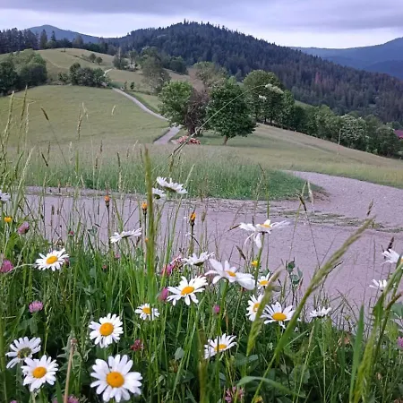 Апартаменты Apartamenty Grapa Szum Rzeki Parking Free