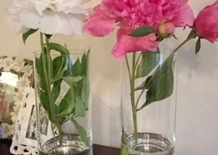 Grapa Szum Rzeki Parking Free