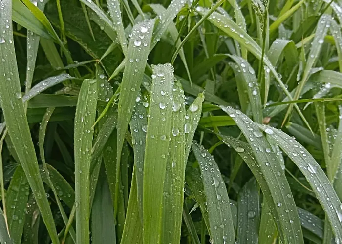 Grapa Szum Rzeki Parking Free דירה