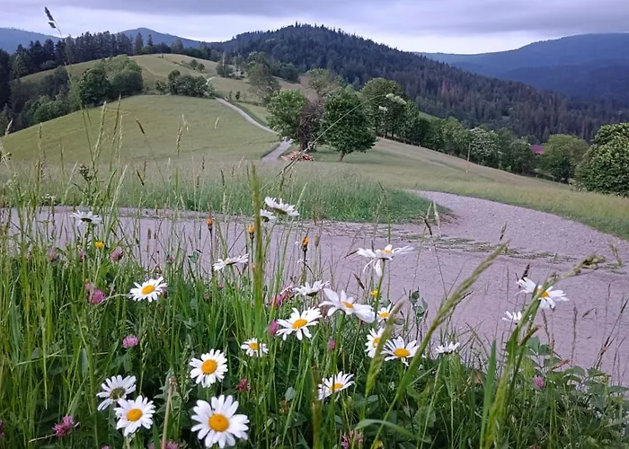 דירה Grapa Szum Rzeki Parking Free