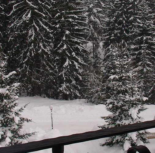 Grapa Szum Rzeki Parking Free * ויסלאו