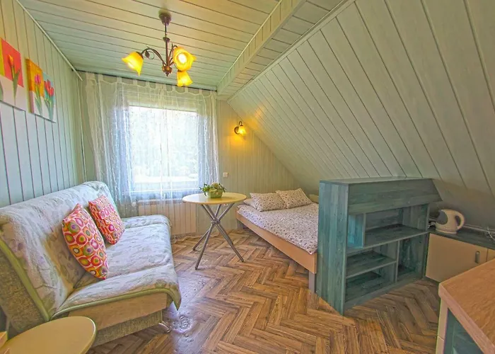 Apartment Apartamenty Grapa Szum Rzeki Parking Free Wisla