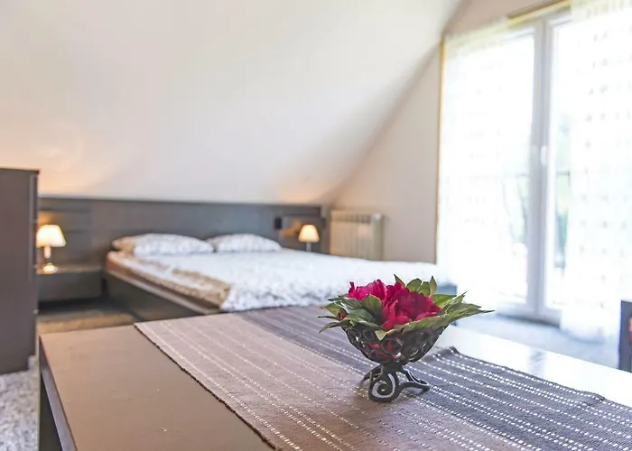 Grapa Szum Rzeki Parking Free ויסלאו