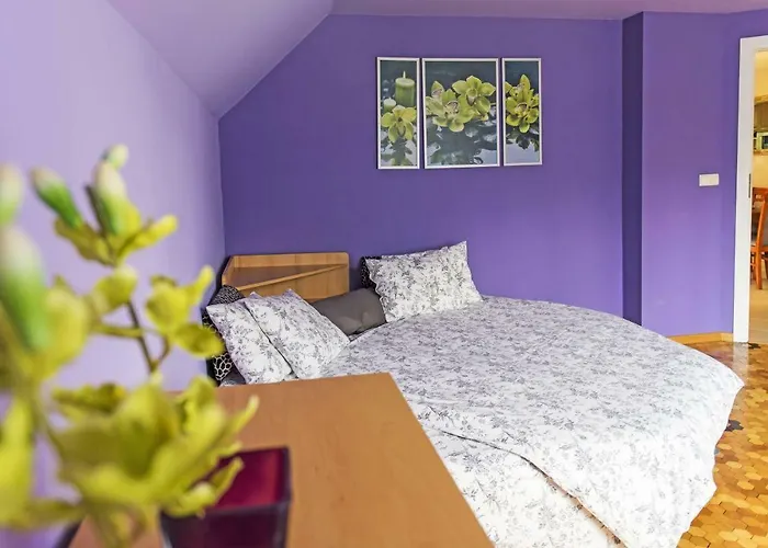 Grapa Szum Rzeki Parking Free * ויסלאו