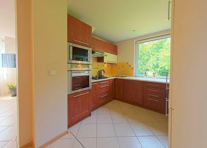 Grapa Szum Rzeki Parking Free ויסלאו